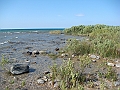Western Michigan [2010] 830
